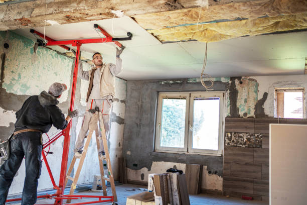 Best Specialized Insulation Services in Chester, IL